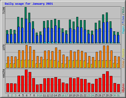 Daily usage for January 2021