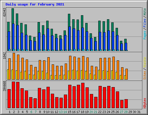 Daily usage for February 2021