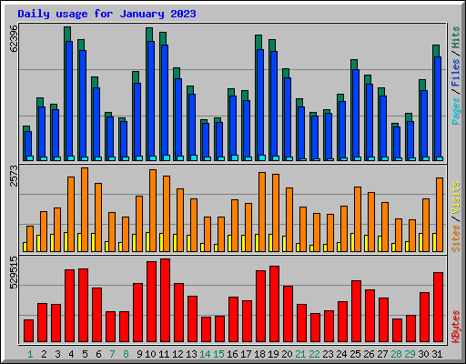 Daily usage for January 2023