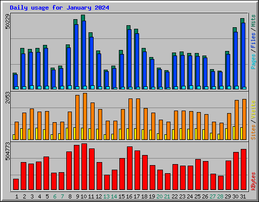 Daily usage for January 2024