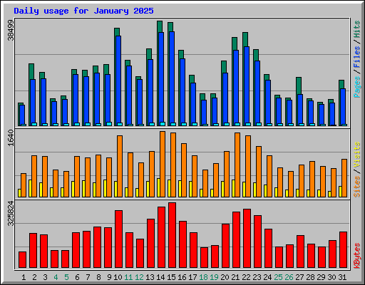 Daily usage for January 2025