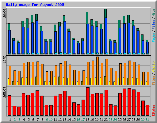 Daily usage for August 2025