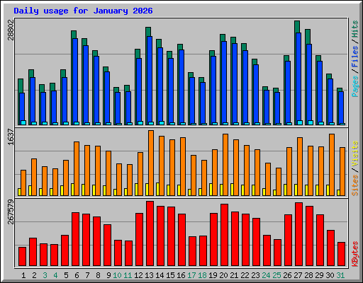 Daily usage for January 2026