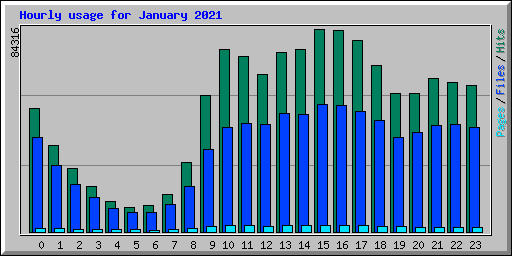 Hourly usage for January 2021