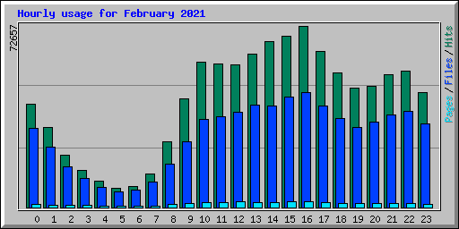 Hourly usage for February 2021