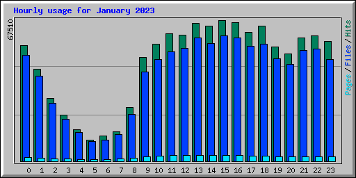 Hourly usage for January 2023