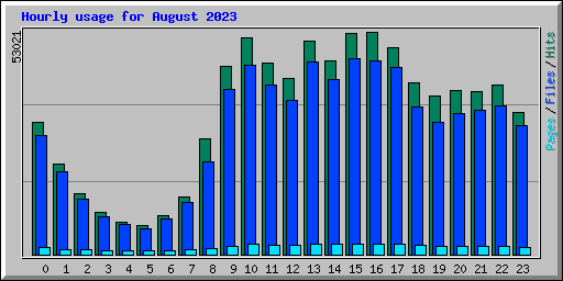 Hourly usage for August 2023