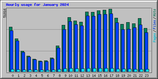 Hourly usage for January 2024