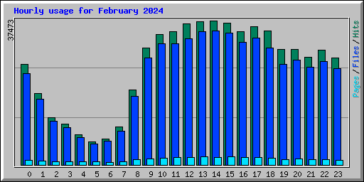 Hourly usage for February 2024