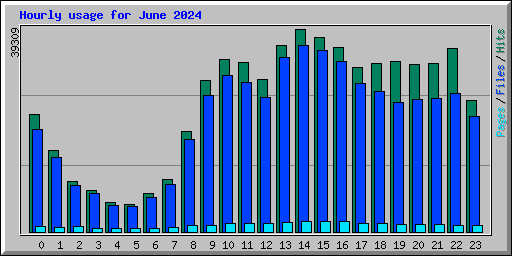 Hourly usage for June 2024