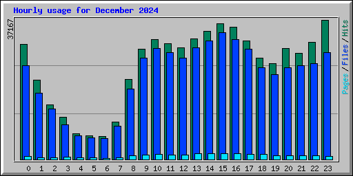 Hourly usage for December 2024