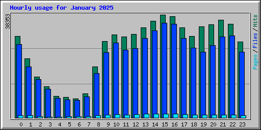 Hourly usage for January 2025