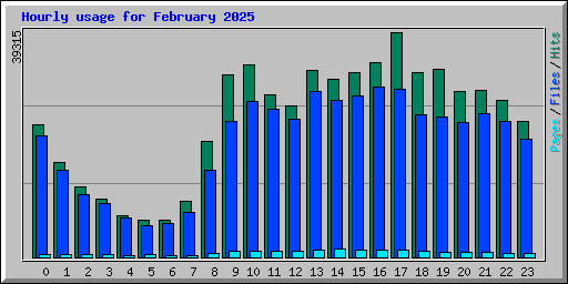 Hourly usage for February 2025