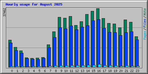 Hourly usage for August 2025
