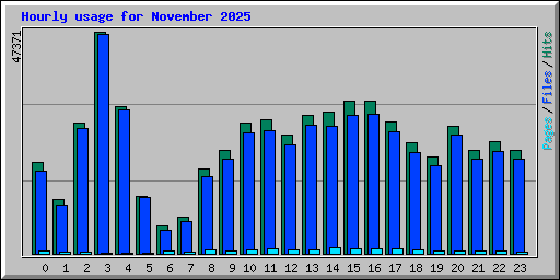 Hourly usage for November 2025