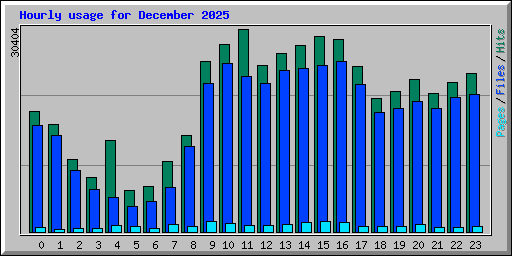 Hourly usage for December 2025