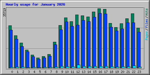 Hourly usage for January 2026